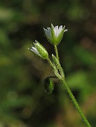 IMG_7508