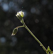IMG_7511