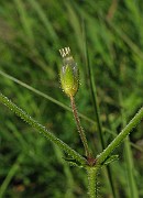 IMG_7883