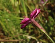 IMG_1213