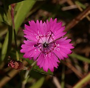 IMG_1220