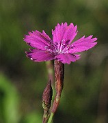 IMG_7788