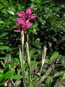 IMG_7987