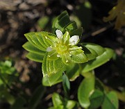 IMG_0522