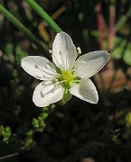 IMG_4391