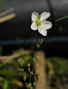 IMG_4392