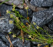 IMG_1545