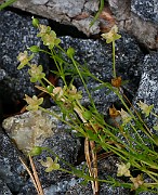 IMG_1546