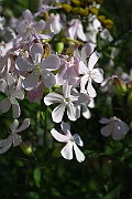 IMG_3980