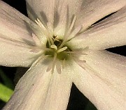 IMG_4788b