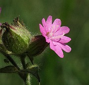 IMG_4444