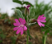 IMG_7319