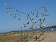 IMG_9783