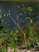 IMG_4641