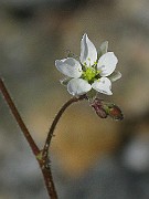 IMG_7101