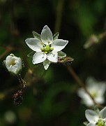 IMG_9569
