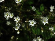 IMG_9571