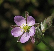 IMG_1623