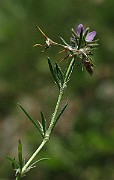 IMG_1627