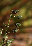 IMG_6249