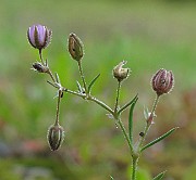 IMG_8111