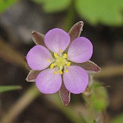 IMG_8114