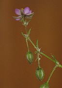 IMG_8127