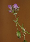 IMG_8128
