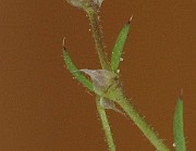 IMG_8129