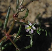 IMG_9774