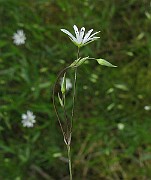 IMG_2515