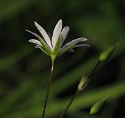 IMG_6967