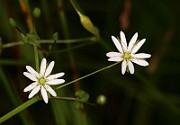 IMG_0030