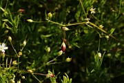 IMG_6013