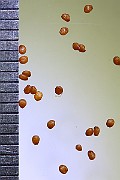 IMG_6089