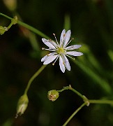 IMG_6185