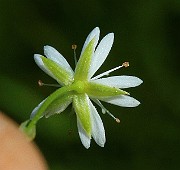 IMG_6187