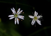 IMG_6190