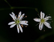 IMG_6192