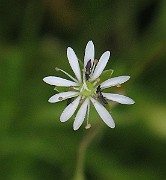 IMG_9340