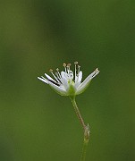 IMG_9341