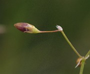 IMG_9342