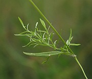 IMG_9344