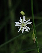 IMG_9349