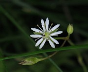 IMG_9350