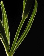 IMG_9605