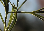 IMG_9614