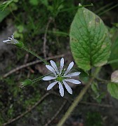 IMG_2545