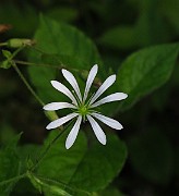 IMG_2848