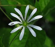 IMG_2852
